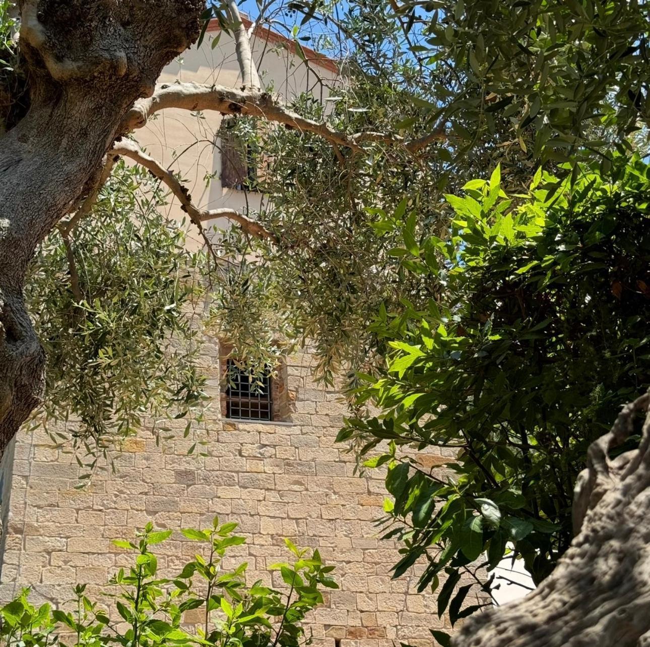 Madonna Del Poggio Cav Aparthotel Scarlino Buitenkant foto