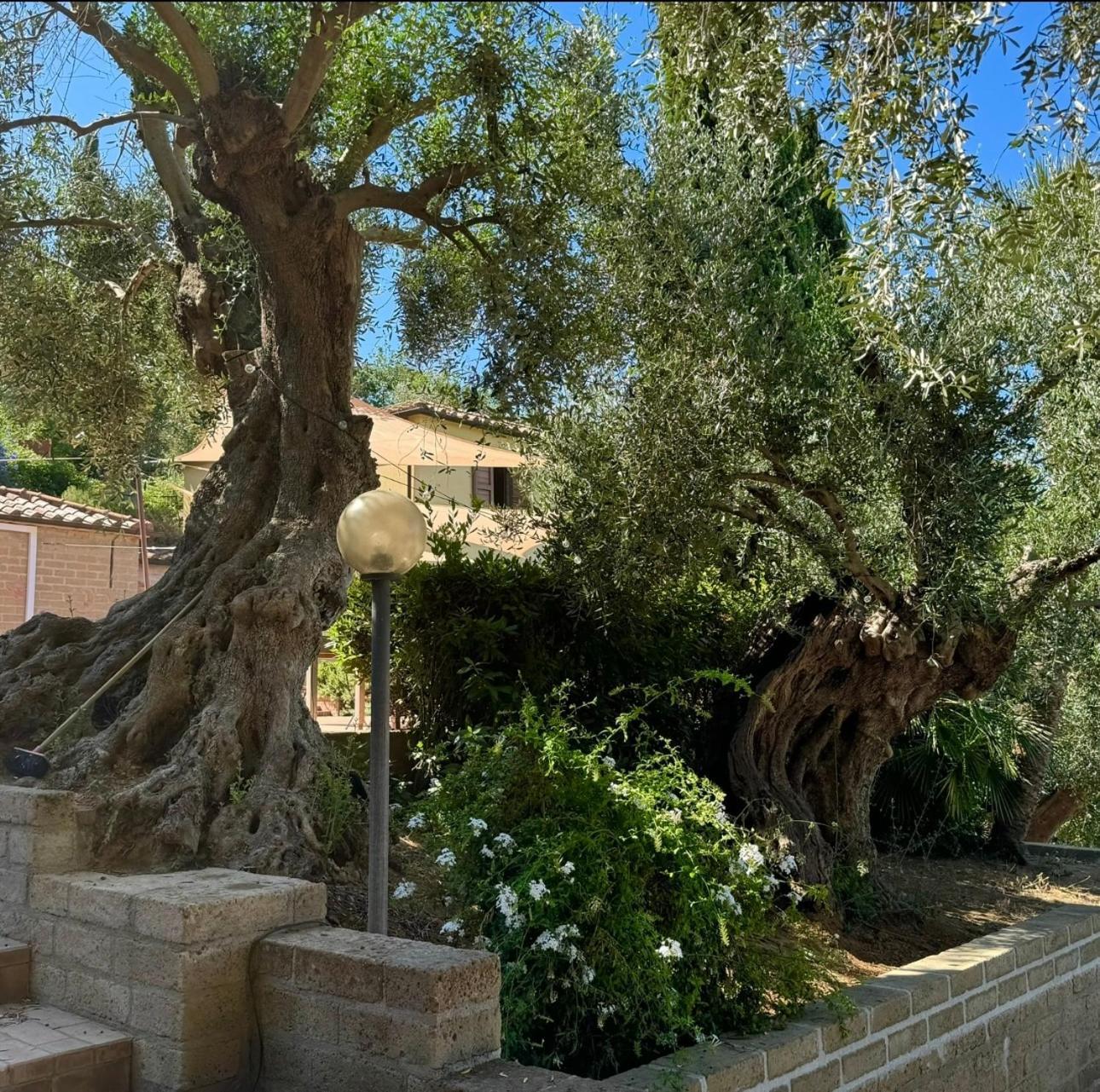 Madonna Del Poggio Cav Aparthotel Scarlino Buitenkant foto