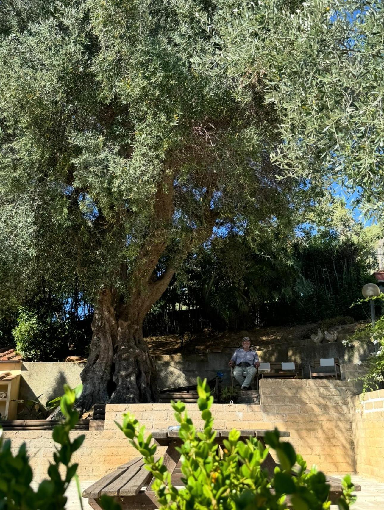 Madonna Del Poggio Cav Aparthotel Scarlino Buitenkant foto